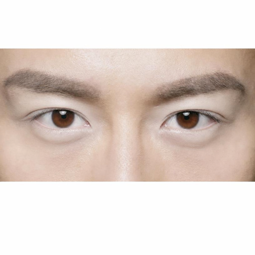 眼瞼淡白示意圖